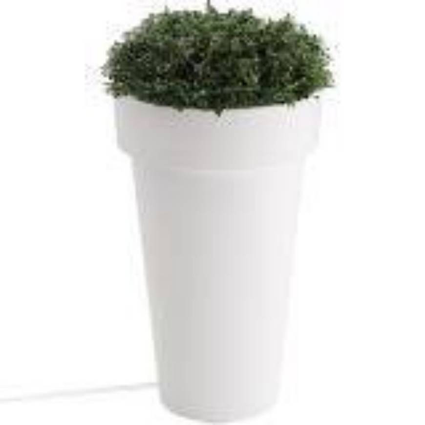 Picture of PLANTER, LIGHTED, LARGE, TERA
